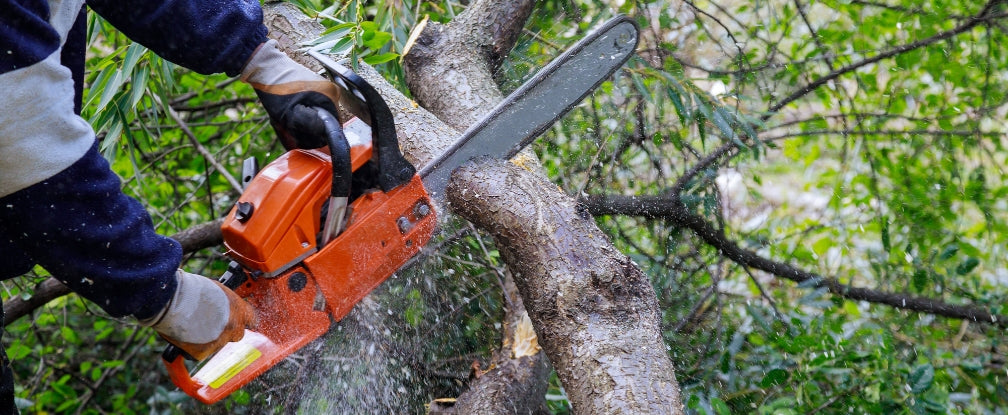 Travaux d’élagage